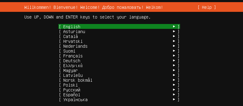 Ubuntu Server Install Language Selection Screen