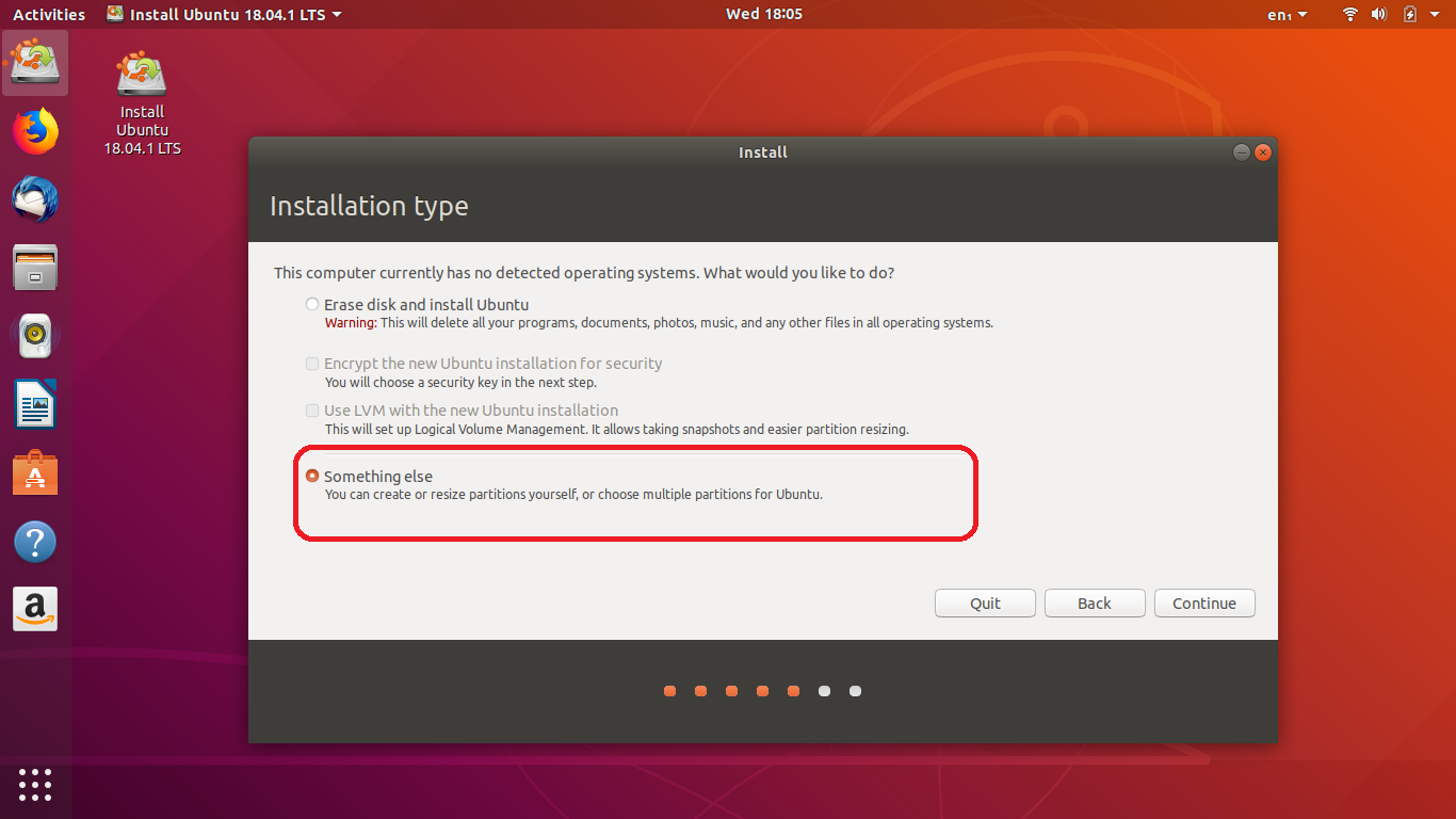 Ubuntu Installation Type